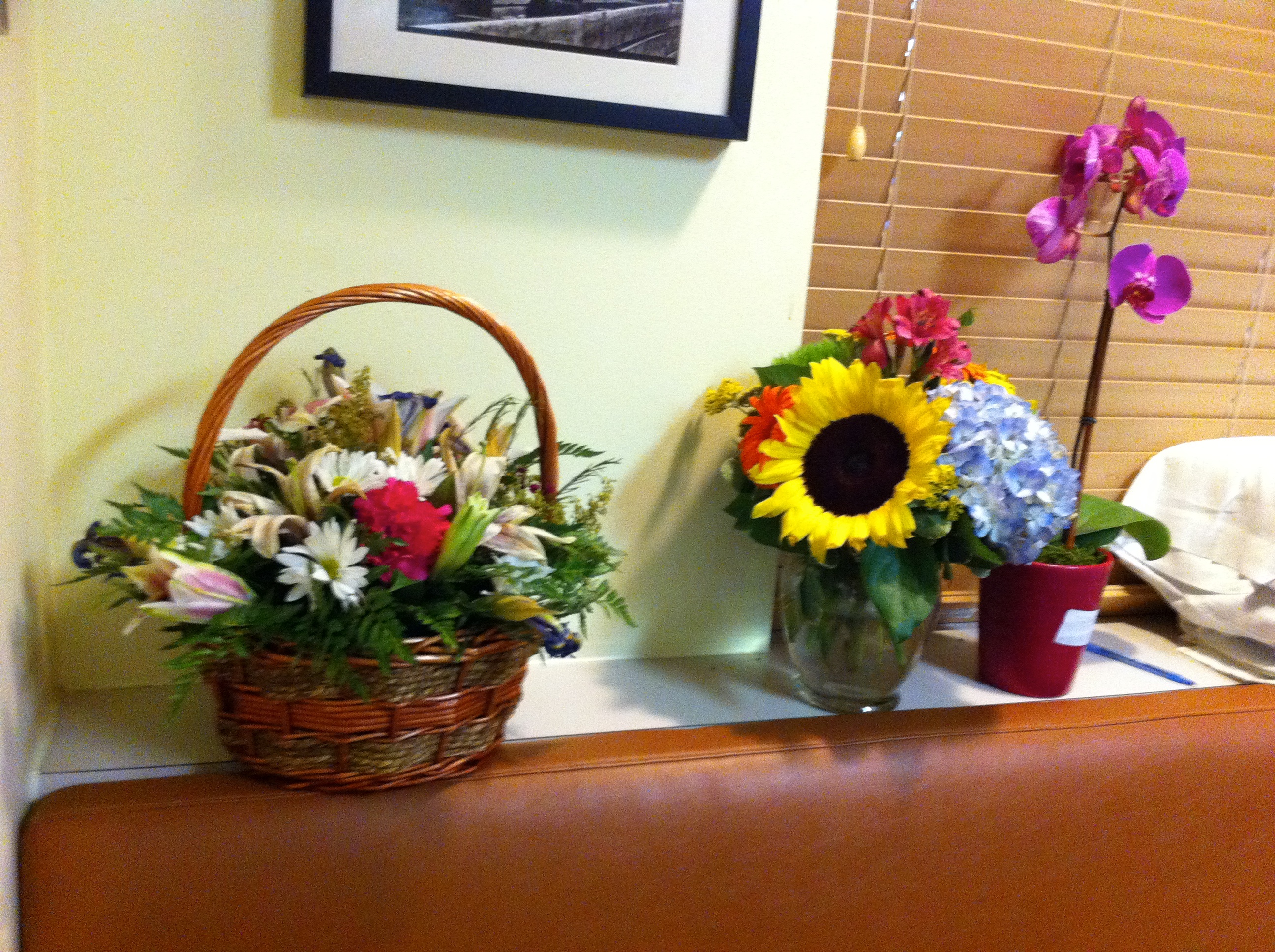 2011-05-25-Janeen's TBI-46.jpg